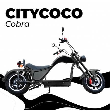 CityCoco Cobra 49e 2000W / 24 AH Preto (Bateria Dupla)